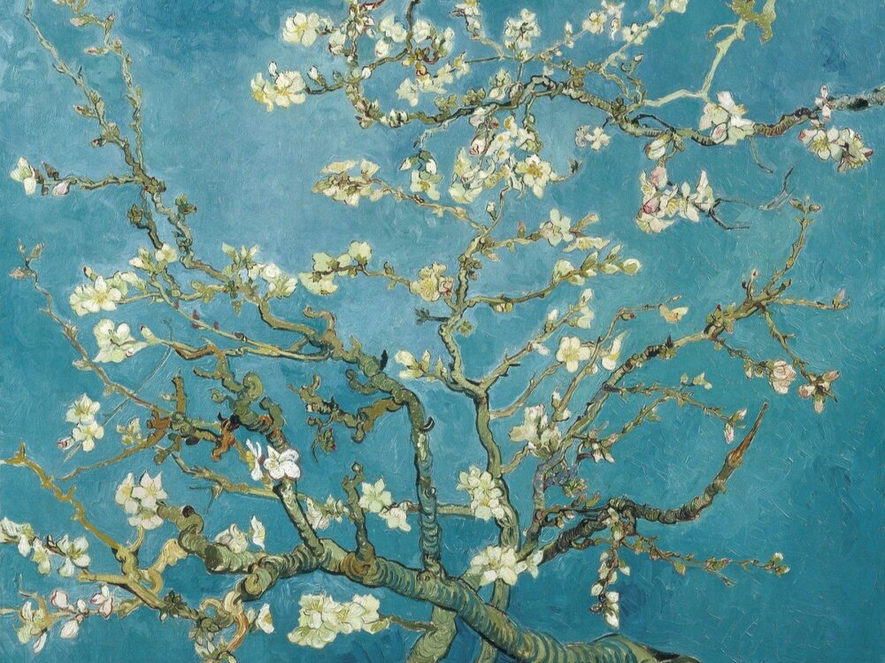 Vincent van Goghs berühmtes Gemälde Mandelblüte (1890) Vincent van Gogh Blumenmalerei